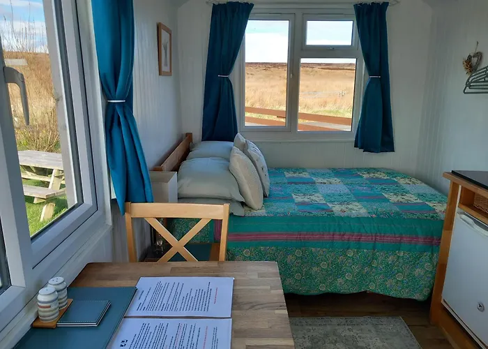 Hillside Camping Pods