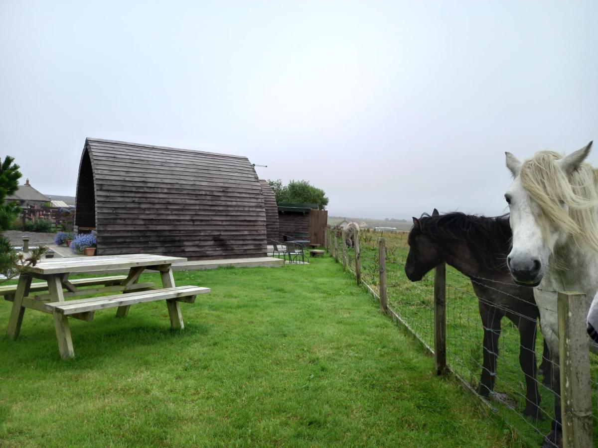 Hillside Pods&shepherd's Hut Camping